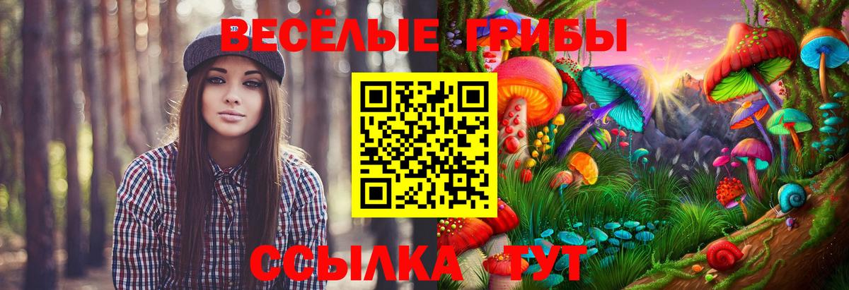 Семёнов  Галлюциногенные грибы мухоморы  купить наркоту  Вход с VPN 